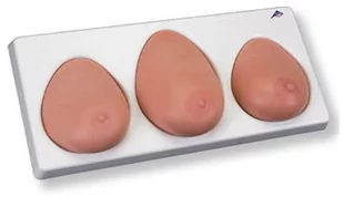 3b Scientific Model do badania piersi - Sprzęt ratunkowy - miniaturka - grafika 1