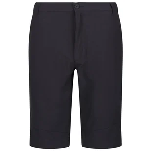 Męskie szorty Regatta Highton ShortLong M Rozmiar: XL-XXL / Kolor: szary - Spodenki męskie - miniaturka - grafika 1