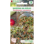 Nasiona i cebule - Nasiona na kiełki - rzodkiewka i soczewica W.Legutko - miniaturka - grafika 1