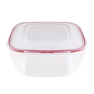Fl1 Pojemnik na żywność 4l Fresh Box kwadratowy 40I-POJ-KW40 - Pojemniki kuchenne - miniaturka - grafika 1
