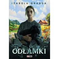 Literatura obyczajowa - Odłamki - Izabela Grabda - miniaturka - grafika 1