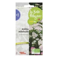 Nasiona i cebule - Nasiona do siewu - Krwawnik - 0,15 g - miniaturka - grafika 1