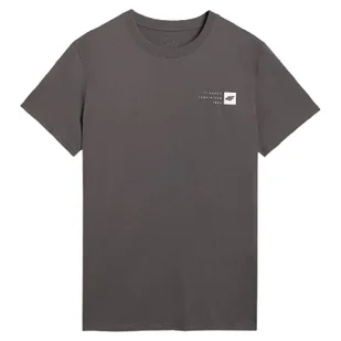 Koszulka męska 4F Tshirt M3131 Rozmiar: M / Kolor: szary - Koszulki sportowe męskie - miniaturka - grafika 1