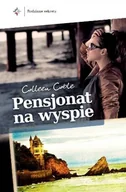 Literatura obyczajowa - Pensjonat na wyspie - miniaturka - grafika 1