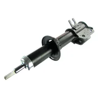 Amortyzatory - Amortyzator IPARTS AM000190 - miniaturka - grafika 1