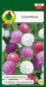 Nasiona i cebule - Gomfrena 0,3 g PNOS - miniaturka - grafika 1