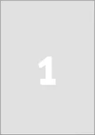 Etykiety do drukarek - Avery Zweckform ETYK.ZF L6013 210X297 SREBRN.20 ETYKIETA - L6013-20 - miniaturka - grafika 1