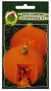 Mieszaniec F1. Wyśmienita odmiana na soki, zupy, do mrożenia oraz suszenia w postaci chipsów. Rośliny półkrzaczaste, średnio rozgałęzione - Nasiona i cebule - miniaturka - grafika 1