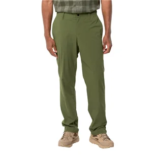 Męskie spodnie Jack Wolfskin DESERT PANTS M greenwood - 56 - Spodnie męskie - miniaturka - grafika 1