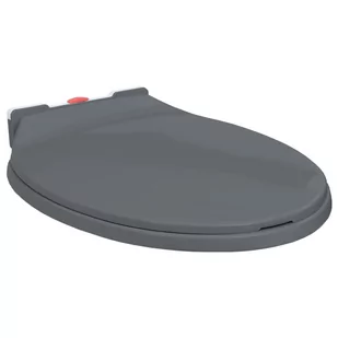 VidaXL Cicha i szybko odpinana deska sedesowa, szara, owalna 145817         VidaXL - Deski sedesowe - miniaturka - grafika 1