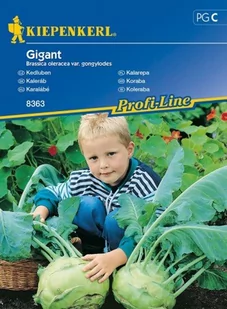 Kiepenkerl Kalarepa Gigant Brassica oleracea var gongylodes 102321 - Nasiona i cebule - miniaturka - grafika 1