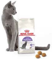 Sucha karma dla kotów - Royal Canin Senior Ageing Sterilised 12+ 2 kg - miniaturka - grafika 1
