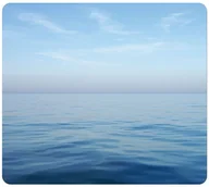 Podkładki pod mysz - PODKŁADKA POD MYSZ FELLOWES OCEAN - miniaturka - grafika 1