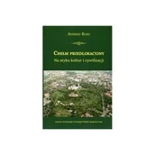 Archeologia - Chełm przedlokacyjny Na styku kultur i cywilizacji - Andrzej Buko - książka - miniaturka - grafika 1