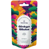 Suplementy naturalne - Ekstrakt z miłorzębu japońskiego, 24% flawonoidów, 6% laktonów – 25G - miniaturka - grafika 1