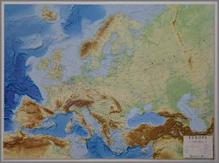 Global Map, Europa. Mapa ścienna plastyczna w ramie, 1:7 000 000 - Atlasy i mapy - miniaturka - grafika 1