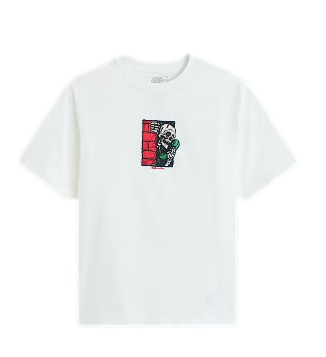 T-shirt Męski VANS Bully SS Tee Crimson Haze VN000XHSWHT1 XS