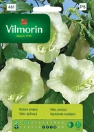 Nasiona i cebule - Vilmorin Nasiona kobea pnąca - miniaturka - grafika 1