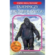 Fantasy - Tajemniczy człowiek śniegu - miniaturka - grafika 1