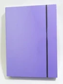 Teczki i skoroszyty - Penmate Tadeo Trading Teczka A4 Lux na gumkę - fioletowa pastelowa AA562TT - miniaturka - grafika 1
