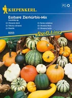 Nasiona i cebule - Kiepenkerl Dynia ozdobna Essbare Zierkurbis mix Kiepenkerl 102595 - miniaturka - grafika 1