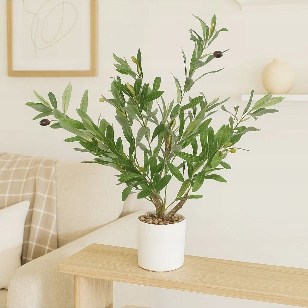 Ibergarden Dekoracyjne drzewko oliwne, 58 cm