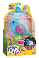 Zabawki interaktywne dla dzieci - Little Live Pets, Ptaszek interaktywny niebieski - miniaturka - grafika 1