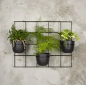 Kwietniki - Kwietnik ścienny Hedera 3 zestaw 2 krata czarny/Domowe Kwietniki - miniaturka - grafika 1