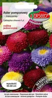 Nasiona i cebule - Nasiona Aster wysoki pomponowy mieszanka 1g - Torseed - miniaturka - grafika 1