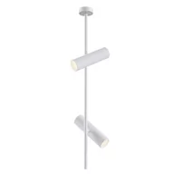 Lampy sufitowe - Maytoni Plafon C021CL-02W z serii ELTI Maytoni - miniaturka - grafika 1