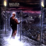 Winyle - Failures for Gods (Immolation) (Vinyl / 12" Album) - miniaturka - grafika 1