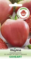 Nasiona i cebule - Pomidor Oxheart 0,3g (REDUM) - WegAna - miniaturka - grafika 1