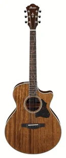 Ibanez AE245-NT - Gitary akustyczne - miniaturka - grafika 1