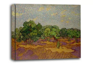 Olive Trees, Vincent van Gogh - obraz na płótnie Wymiar do wyboru: 40x30 cm - Obrazy i zdjęcia na płótnie - miniaturka - grafika 1