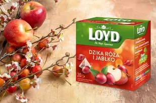 Loyd Tea Herbata Dzika róża i Jabłko 20x2 g Bezpiecznych wakacji - Herbata - miniaturka - grafika 2