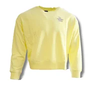 Bluzy damskie - Bluza Damska New Balance Athletics IC Crewneck Sweatshirt 2 - WT13562-SAY-L - miniaturka - grafika 1