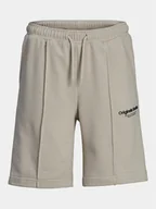 Spodenki damskie - Jack&Jones Junior Szorty sportowe Vesterbro 12254196 Szary Loose Fit - miniaturka - grafika 1