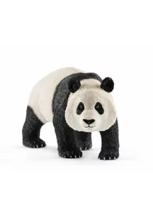 Duża panda - Albumy krajoznawcze - miniaturka - grafika 1
