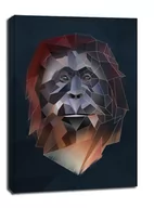 Obrazy i zdjęcia na płótnie - orangutan tło - obraz na płótnie Wymiar do wyboru: 60x80 cm - miniaturka - grafika 1