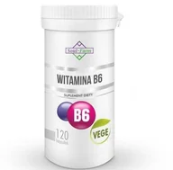 Suplementy naturalne - SOUL FARM Soul Farm Premium B6 120 k układ nerwowy SFA245 - miniaturka - grafika 1