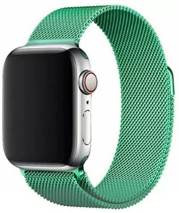 Magnetic Strap pasek do Watch 6 / 5 / 4 / 3 / 2 / SE (44mm / 42mm) magnetyczna opaska bransoleta bransoletka miętowy - Akcesoria do smartwatchy - miniaturka - grafika 1