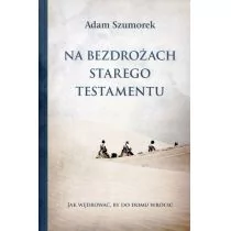 Na bezdrożach Starego Testamentu - Religia i religioznawstwo Na bezdrożach Starego Testamentu - Religia i religioznawstwo - miniaturka - grafika 1