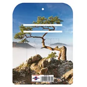 Kalendarze - Avanti Podstawka pod zdzierak - miniaturka - grafika 1