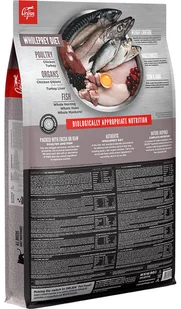 Orijen Kot Fit&Trim CAT 5,4 kg - Sucha karma dla kotów - miniaturka - grafika 7