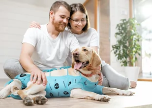 RecoWear Ubranko ochronne z jonami srebra rozm 9 - 60 cm - Ubranka dla psów - miniaturka - grafika 1