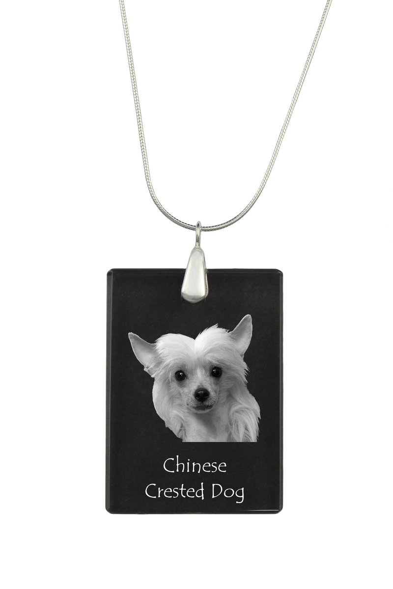 Grzywacz Chiński - kryształowa zawieszka z psem, srebrny naszyjnik ze zdjęciem, personalizowany wisiorek marki Art-Dog
