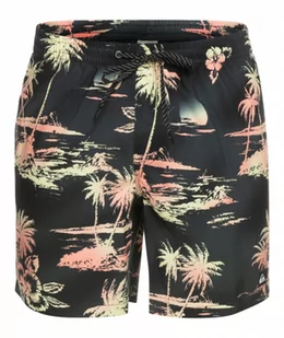 Męskie spodenki plażowe Quiksilver Everyday Mix 17" Volleys - czarne - QUIKSILVER - Spodnie sportowe męskie - miniaturka - grafika 1