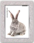 Ramki na zdjęcia - Stowarzyszenie do Popierania Życia Uniwersaln Ramka  Doneck B 15x20 Resin Frame AZ168 AZ168 - miniaturka - grafika 1