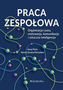 Praca zespołowa. Organizacja czasu, motywacja.. - Anna Pluta, Hanna Soroka-Potrzebna - książka - Biznes - miniaturka - grafika 1
