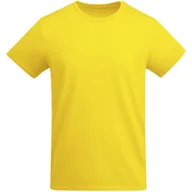 Koszulki sportowe męskie - Męska Koszulka Breda Plain T-shirt - miniaturka - grafika 1
